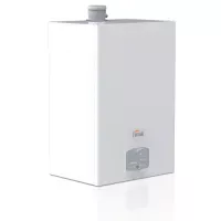 Газовый котел Ferroli Force W 60